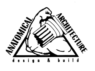 ANATOMICAL ARCHITECTURE logo