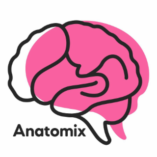ANATOMIX