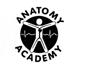ANATOMY ACADEMY logo