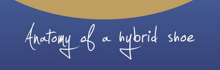 ANATOMY OF A HYBRID SHOE logo