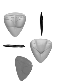 ANATOMY OF SOUND