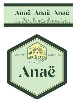 ANAË ANAË ANAË  ANAË CULTIVER L'ESSENTIEL A logo