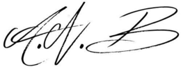 A.N.B logo