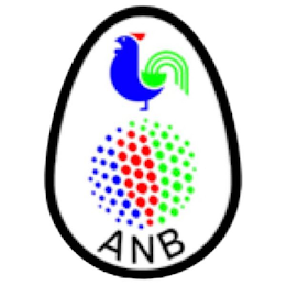 ANB logo