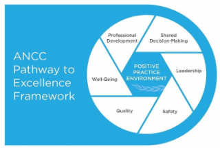ANCC PATHWAY TO EXCELLENCE FRAMEWORK POSITIVE PRACTICE ENVIRONMENT PROFESSIONAL DEVELOPMENT SHARED DECISION-MAKING LEADERSHIP SAFETY QUALITY WELL-BEING