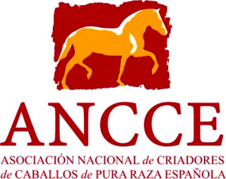 ANCCE ASOCIACIÓN NACIONAL DE CRIADORES DE CABALLOS DE PURA RAZA ESPAÑOLA logo