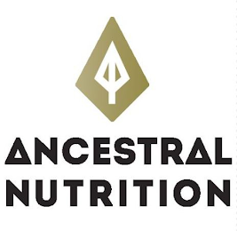 ANCESTRAL NUTRITION logo