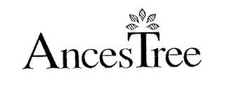 ANCESTREE logo