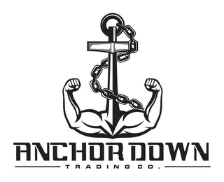 ANCHOR DOWN TRADING CO. logo