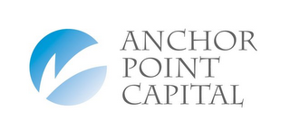 ANCHOR POINT CAPITAL logo