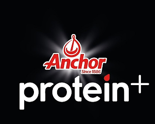 ANCHOR SINCE 1886 PROTEIN+ logo