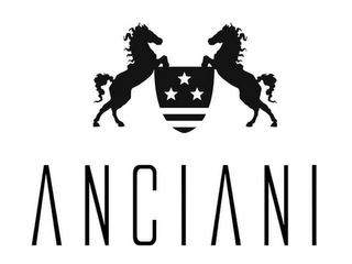 ANCIANI logo