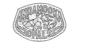 ANDAMOOKA OPALS logo