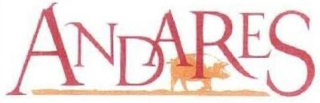 ANDARES logo
