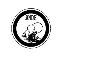ANDE logo