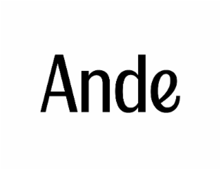 ANDE logo