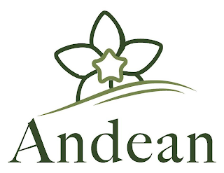 ANDEAN logo
