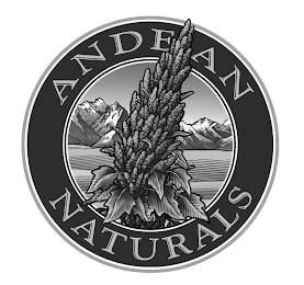 ANDEAN NATURALS logo