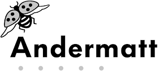 ANDERMATT logo