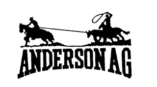 ANDERSON AG logo