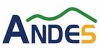 ANDES logo