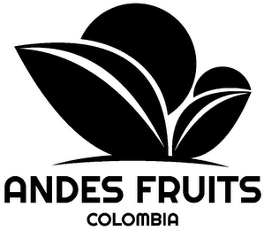 ANDES FRUITS COLOMBIA logo