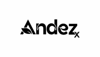 ANDEZX logo