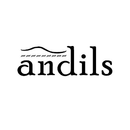 ANDILS logo