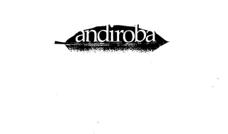 ANDIROBA logo