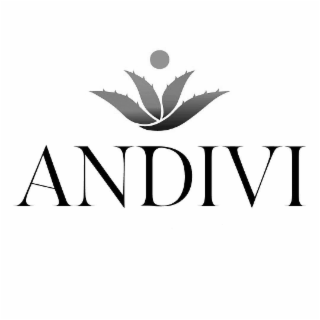 ANDIVI logo