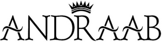 ANDRAAB logo