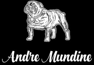 ANDRE MUNDINE logo