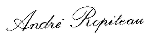 ANDRE ROPITEAU logo