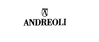 ANDREOLI logo