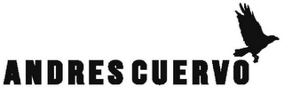 ANDRES CUERVO logo