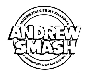 ANDREW SMASH IRRESISTIBLE FRUIT SMASHIES EARTHBURGERS, SALADS & SOUPS logo