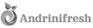 ANDRINIFRESH logo