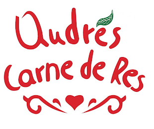 ANDRÉS CARNE DE RES logo