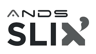 ANDS SLIX' logo