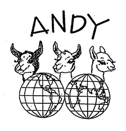 ANDY logo