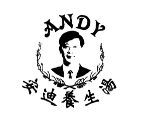 ANDY logo