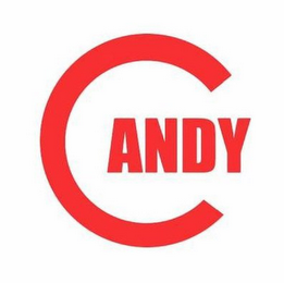 ANDY logo