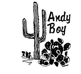 ANDY BOY logo