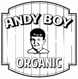 ANDY BOY ORGANIC logo