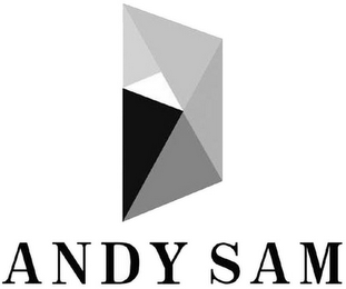 ANDY SAM logo