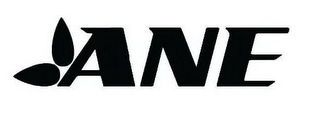 ANE logo