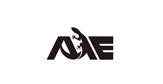 ANE logo