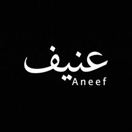 ANEEF logo