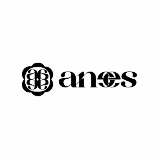 ANEES logo