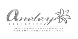 ANELEY COSMETICS MEET A FABULOUS, MORE POWERFUL YOU FRESH. UNIQUE. NATURAL logo